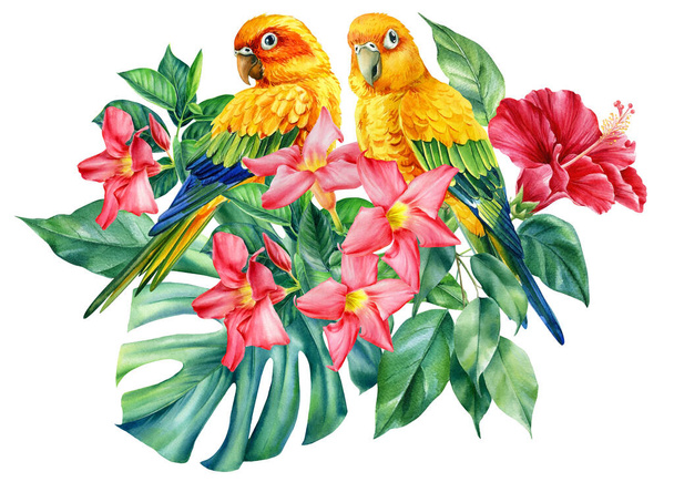 Print of tropical leaves, hibiscus flowers and lovebirds on an isolated white background, watercolor illustration - Foto, immagini