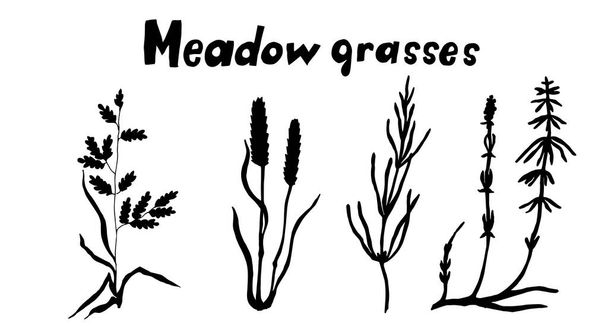 vector illustration of grass and herbs icons set - Vektör, Görsel