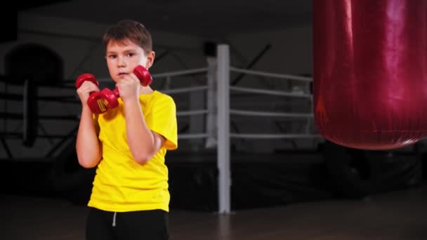 Um menino boxe com pequenos halteres nas mãos - Filmagem, Vídeo