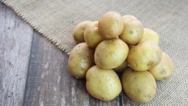 Round fruits of natural yellow potatoes - Footage, Video