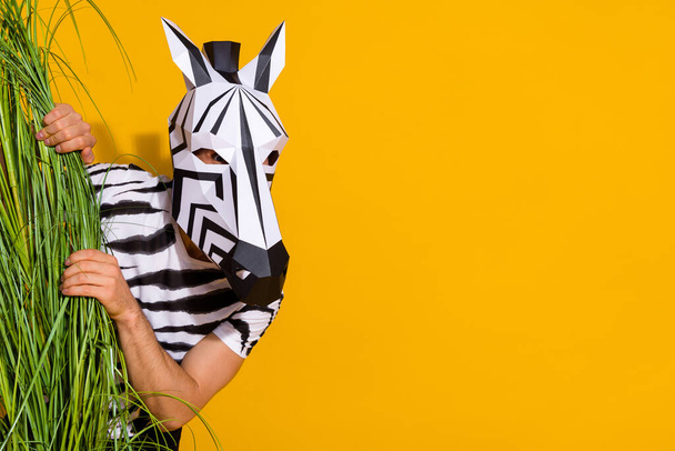Photo of zebra guy in natural habitat hiding from bunch plant look empty space isolated over bright yellow color background - Fotó, kép
