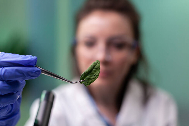 Bioquímica científica mujer sosteniendo muestra de hojas analizando plantas orgánicas modificadas genéticamente - Foto, Imagen