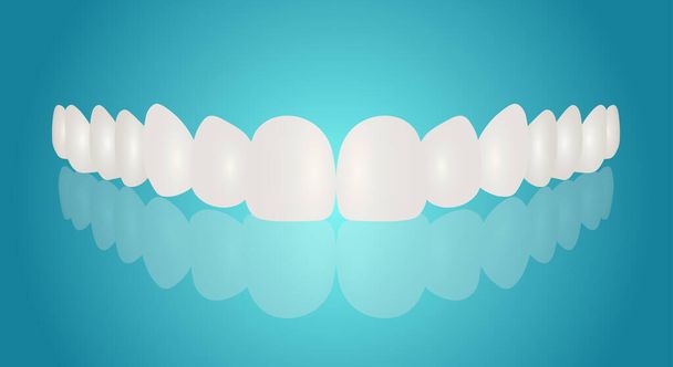 Realistic white denture, human teeth, set closeup isolated. Dentistry and Orthodontics Design. Human teeth for medicine and toothpaste concept. Healthy oral hygiene, jaw prosthesis, veneers. Vector illustration - Vector, Image