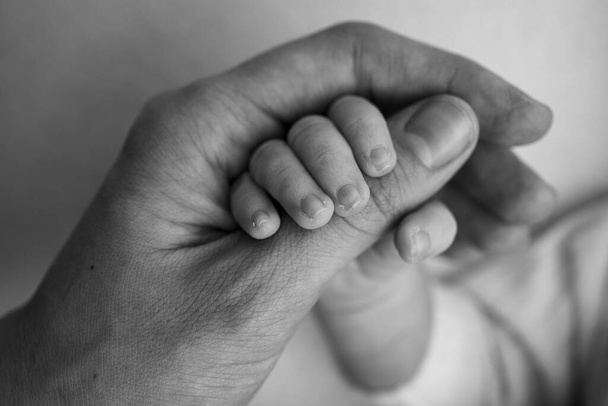 The newborn baby has a firm grip on the parents finger after birth. Close-up little hand of child and palm of mother and father. Parenting, childcare and healthcare concept. Black and white photo. - Fotoğraf, Görsel