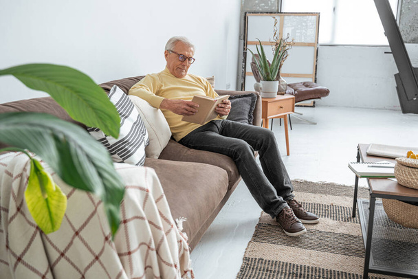Man wearing glasses relaxing on sofa at home while reading his favorite book - Fotó, kép