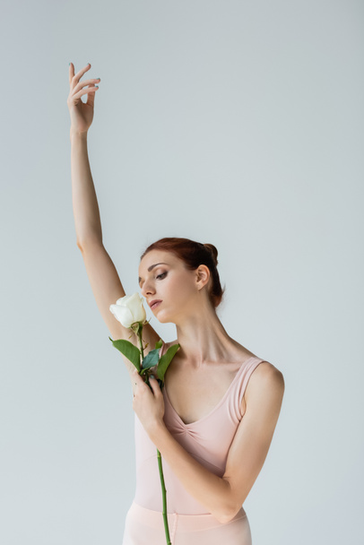 elegant ballerina in bodysuit holding rose and performing dance isolated on grey - Photo, image