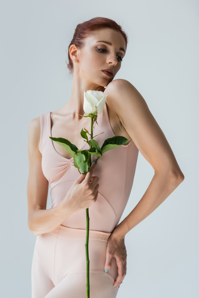 young elegant ballerina in bodysuit holding rose isolated on grey - Zdjęcie, obraz