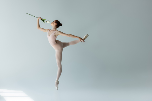 full length of graceful ballerina in bodysuit smelling rose while dancing on grey - Photo, Image