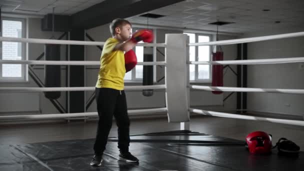 Malý chlapec v boxerských rukavicích stojící na ringu a předvádějící stínový box - Záběry, video