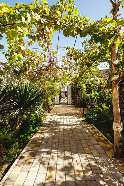 tiled path in the garden against the backdrop of greenery - Fotó, kép