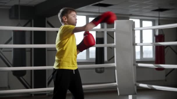 Piccolo ragazzo sorridente in guanti da boxe calci l'aria sul ring di boxe poi guarda nella fotocamera - Filmati, video