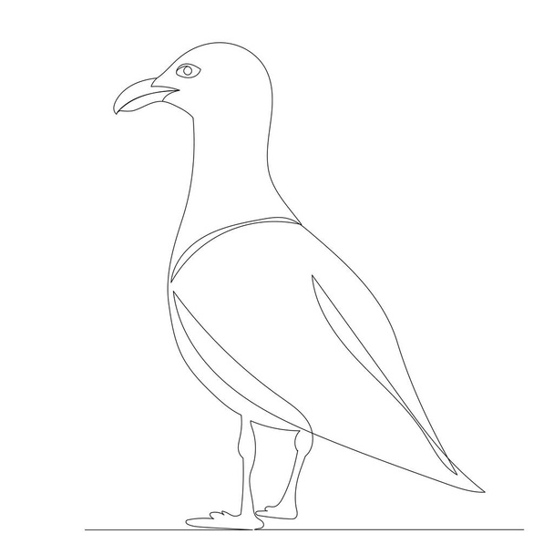 seagull, continuous line drawing, sketch, vector - Vektör, Görsel
