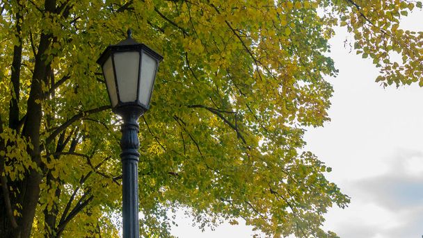 Lantern against autumn yellow trees. Street lamp in the autumn park. Beautiful Autumn Landscape With Old Fashion Lamp. Autumn nature. - Photo, Image