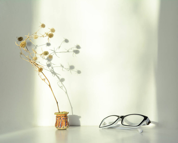 In een kleine aardewerk vaas is een tak van stekelige gedroogde bloemen. Witte achtergrond. Tak schaduw. Kopieerplaats - Foto, afbeelding
