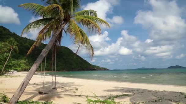 tenger, a strand és a palm tree - Felvétel, videó