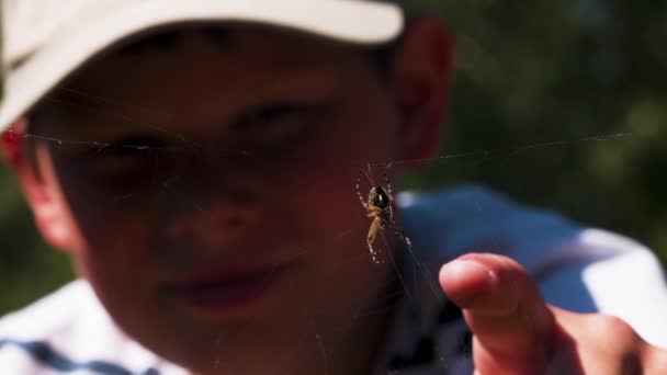 Malý chlapec zkoumá divokou zvěř a dívá se na pavouka v pavučině venku za letního slunečného dne. Kreativní. Detailní záběr hmyzu a rozmazané tváře chlapce za pavučinou. - Záběry, video