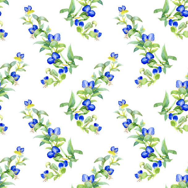 Wild flowers seamless pattern - Fotoğraf, Görsel