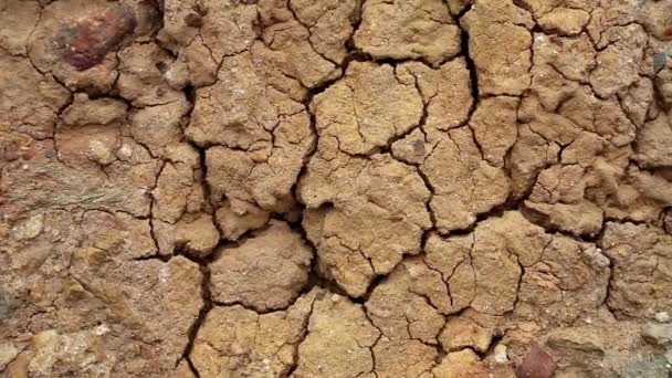 Yellow soil with cracks - Footage, Video