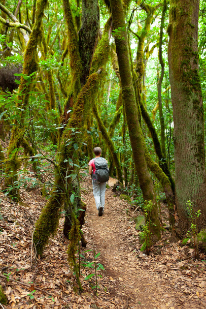 woman hiking in the forest - Фото, зображення