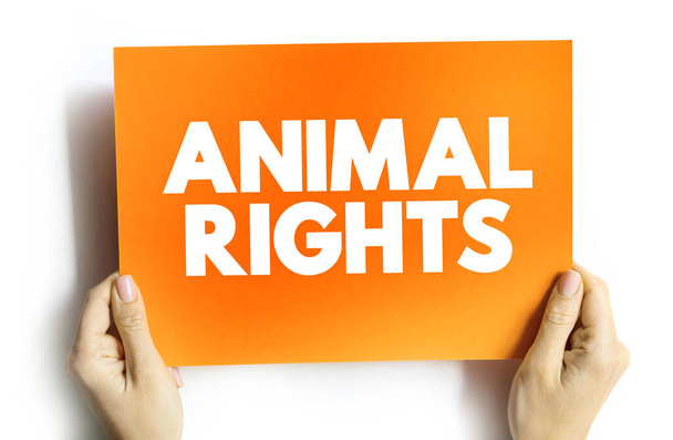 Animal rights text quote on card, social concept background - Fotografie, Obrázek