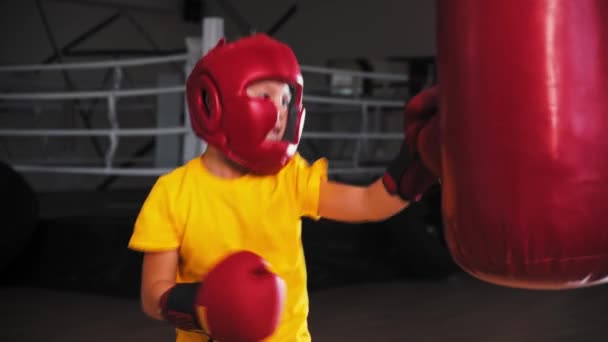 Little boy boxer batendo um grande saco de perfuração no treinamento e cai sobre ele - Filmagem, Vídeo