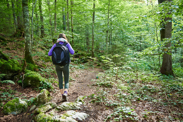 Woman with backpack hiking into the forest - Foto, Imagem