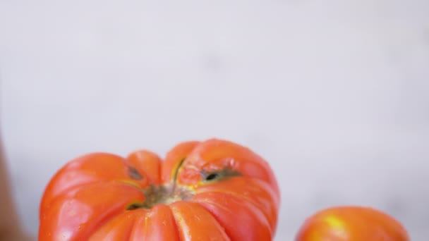 Comparação de tomate geneticamente modificado versus convencional. 4K. Fechar - Filmagem, Vídeo