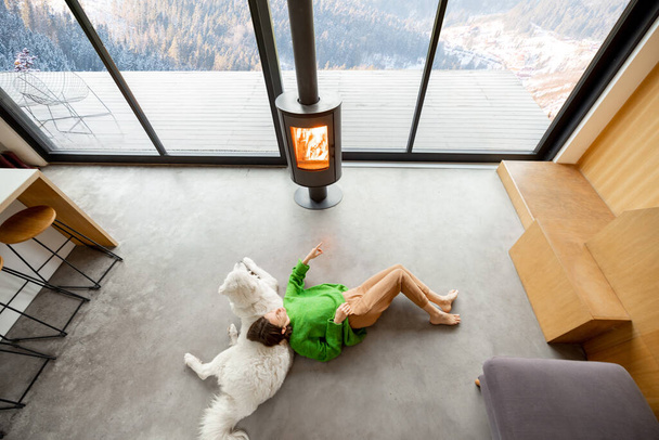 Mulher com cão em casa nas montanhas no inverno - Foto, Imagem