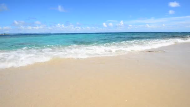 nádherná pláž v létě - Záběry, video