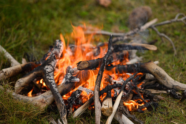 Zdjęcie pokazuje, jak płonie ogień, z płonącego drewna wyrywają się języki płomienia pomarańczowej nitki. Kominek znajduje się na zielonej łące. Zdjęcie pokazuje, jak dym ewoluuje w powietrzu.. - Zdjęcie, obraz