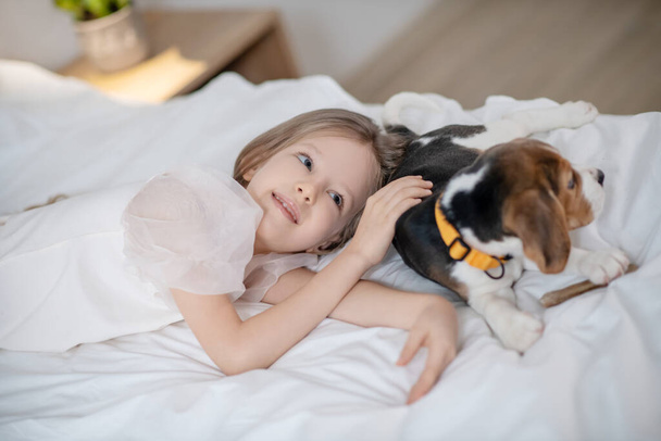 Placid pretty little girl stroking her beagle - Фото, зображення