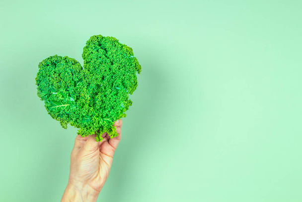 Female hand holding green heart made of fresh curly kale cabbage leaves over green background. Love of vegetarian, vegan food, healthy organic food concept - Фото, зображення