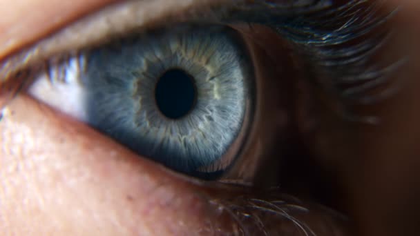 Close up Open Blue Female Eyes. Human Pupil Cornea Iris Eyeball Eyelashes. Macro Shot. 2x Slow motion 60 fps 4K - Filmmaterial, Video