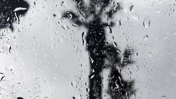 Pluie sur verre de voiture - Séquence, vidéo