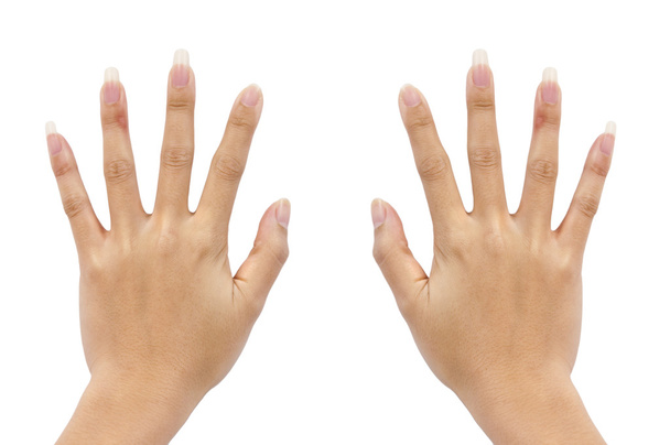 Dos manos de una mujer sobre fondo blanco
 - Foto, imagen