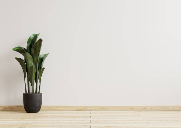 Leerer Raum weiße Wände mit schönen Pflanzen seitlich auf dem Fußboden.3d Rendering - Foto, Bild