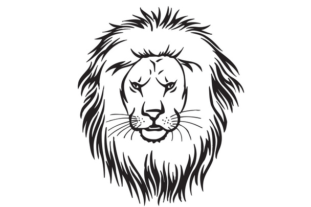 Lion - Vecteur, image