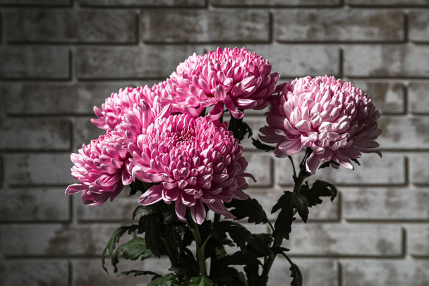 Lindas flores de crisântemo contra a parede de tijolo, close-up - Foto, Imagem