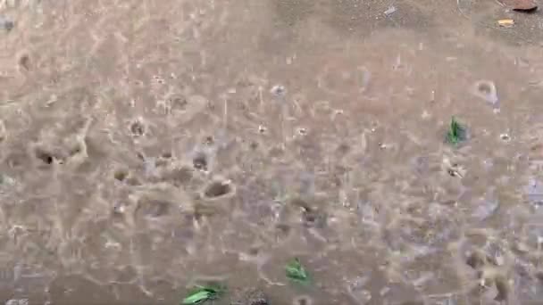 Bir su birikintisine düşen yağmur damlaları (kapatın )  - Video, Çekim