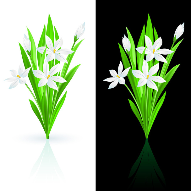 Spring flowers - Vektor, Bild
