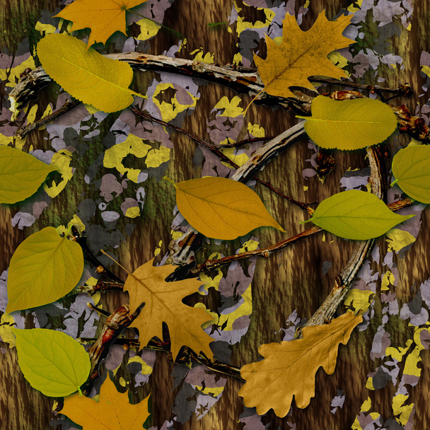 Camouflage naturel
 - Photo, image
