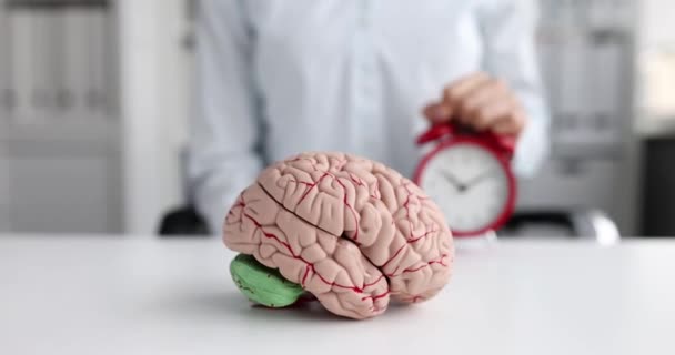 Businesswoman puts an alarm clock next to mock human brain on table - Footage, Video