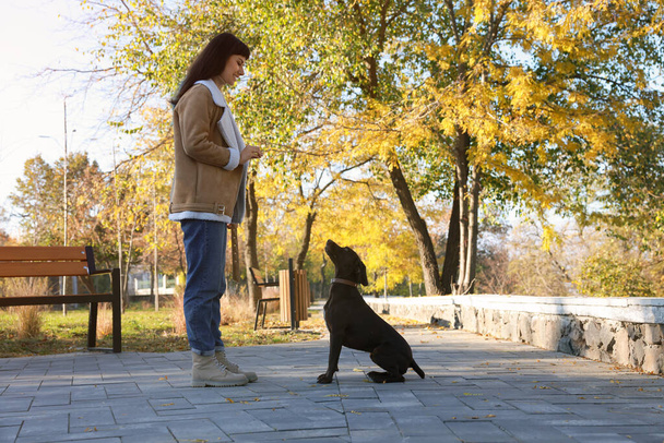 Woman with her German Shorthaired Pointer dog in park - Zdjęcie, obraz