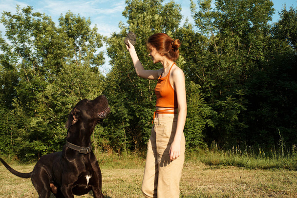 woman playing with a big black dog outdoors in the field fun friendship - 写真・画像