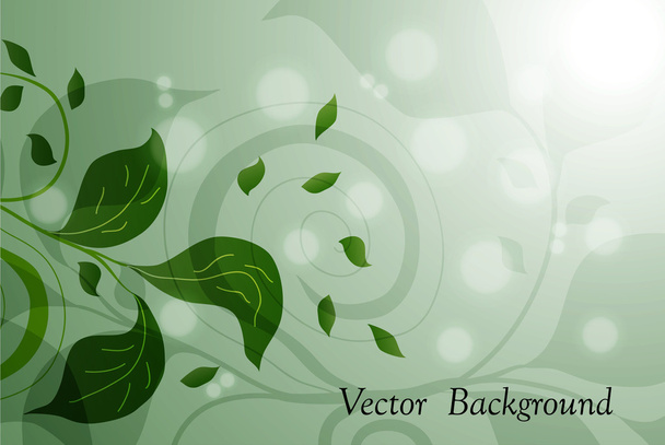 Floral background - Vektori, kuva