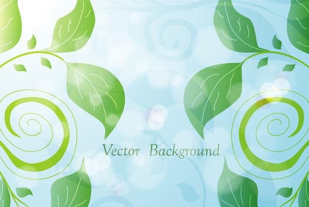 Floral background - Vektori, kuva