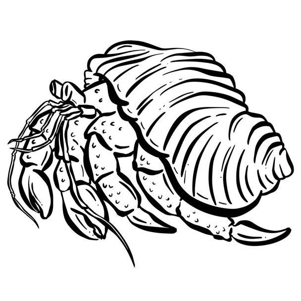 Krab Schaaldieren Shell Vector Cartoon Illustratie - Vector, afbeelding