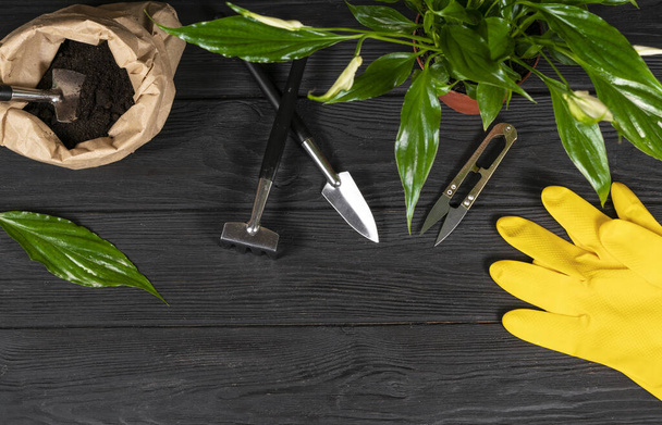 Draufsicht auf einen Tisch mit Werkzeugen zum Verpflanzen von Pflanzen. - Foto, Bild