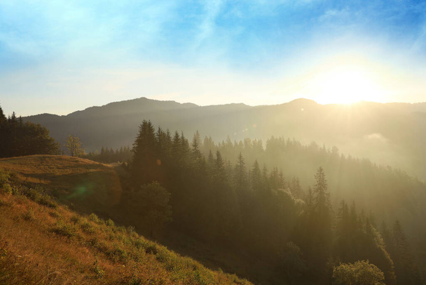 Vue imprenable sur les belles montagnes brumeuses le matin - Photo, image