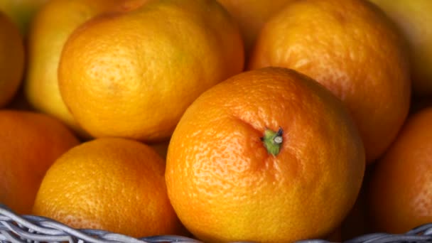 veel mandarijnen close-up met een bewegende camera - Video